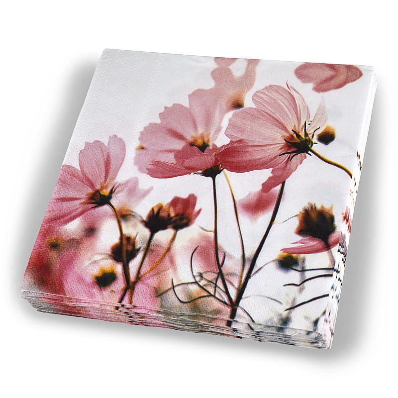 Vie Eco Servietter 20-pak 33x33 cm