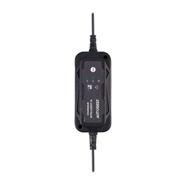 Cargador de batería para motocicleta - Carga de mantenimiento de 6V/12V