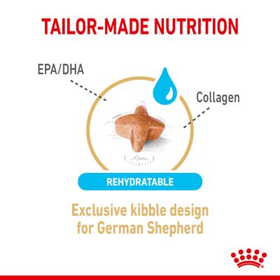 Royal Canin Berger Allemand Adulte 5+