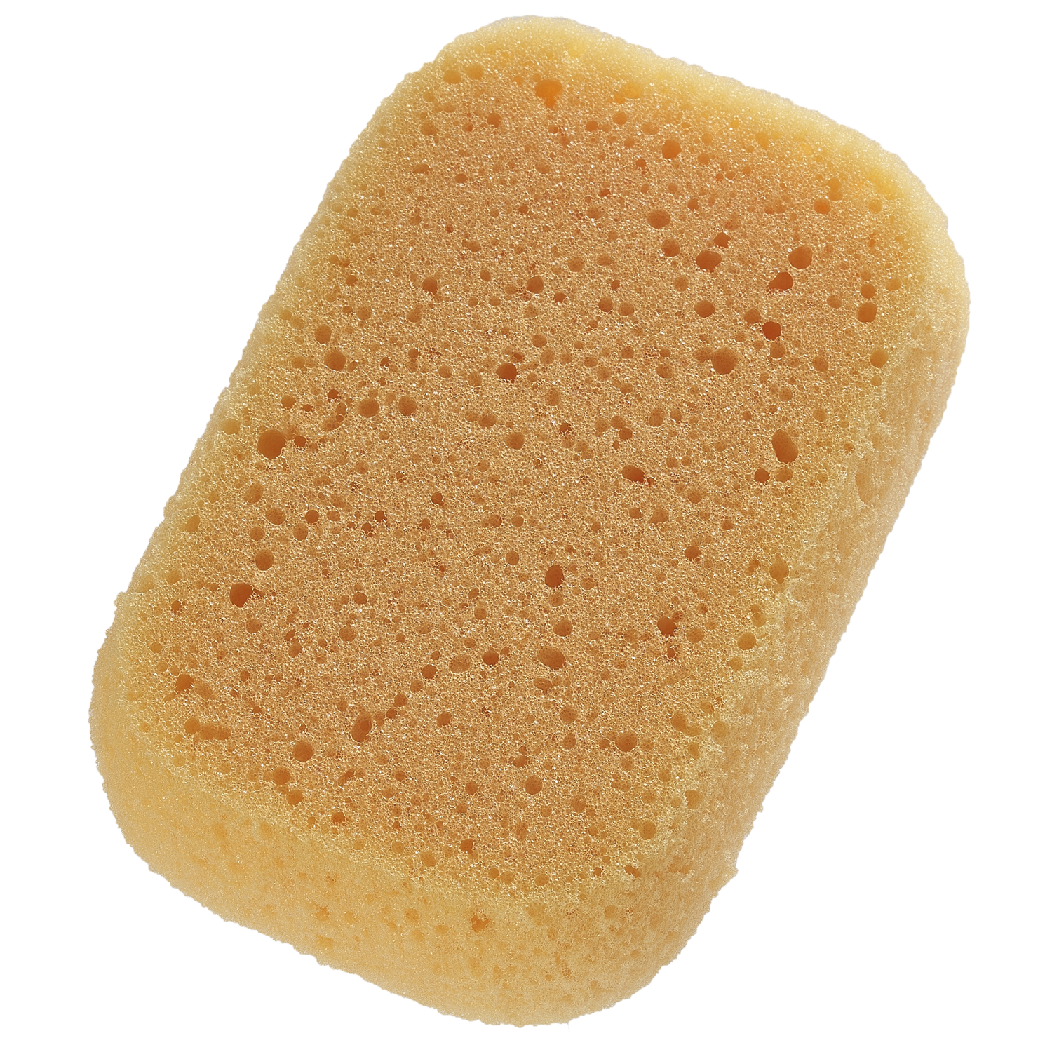 Hebe-kylpysieni