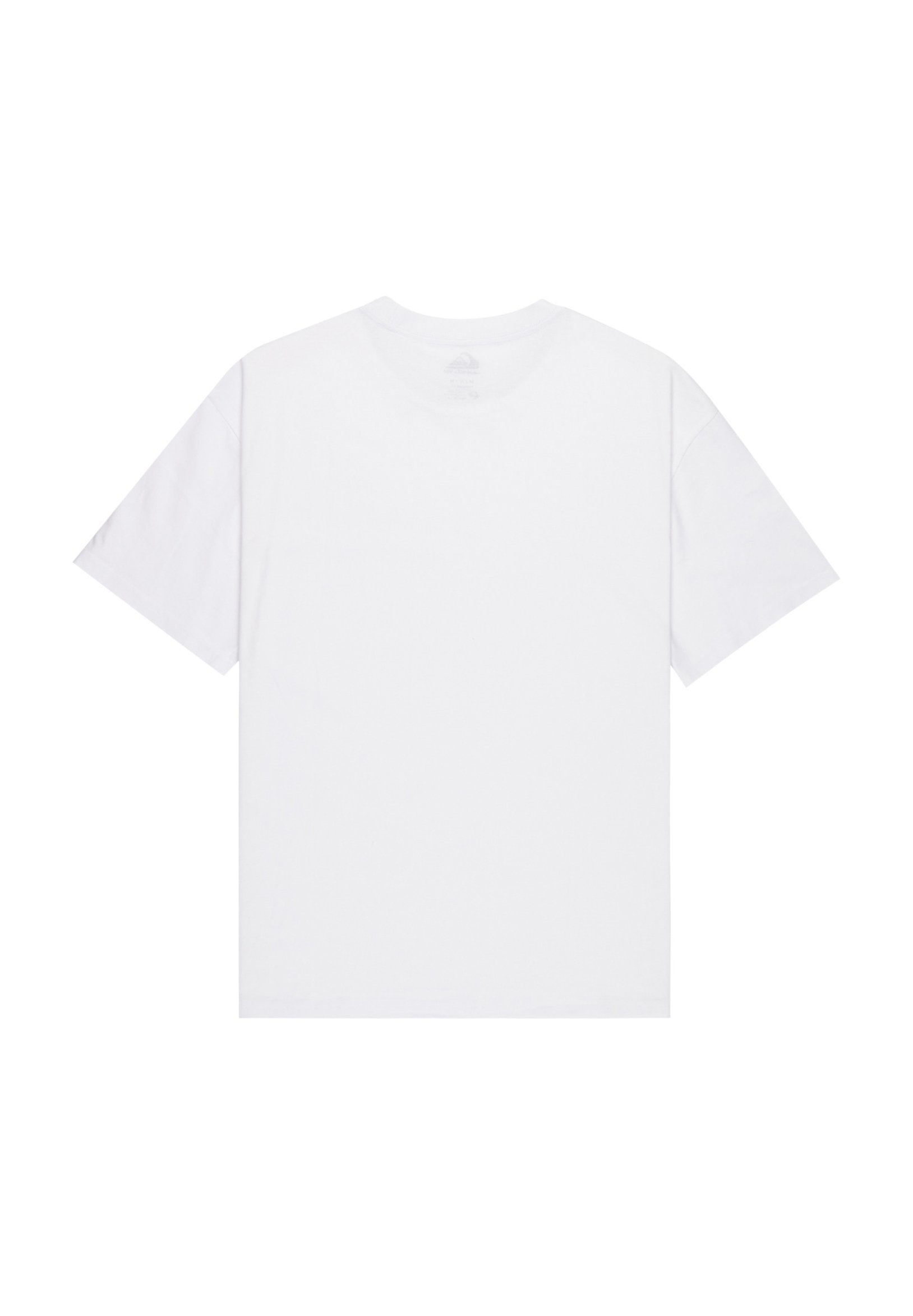 Quiksilver DNA CLICKER T-shirt - T-shirt met print - wit