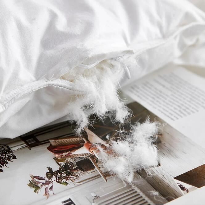 RUMOCOVO® Couette douce en Duvet d'oie 220*240cm 5kg, couvertures d'hiver et d'automne, lit en plumes, couette matelassée