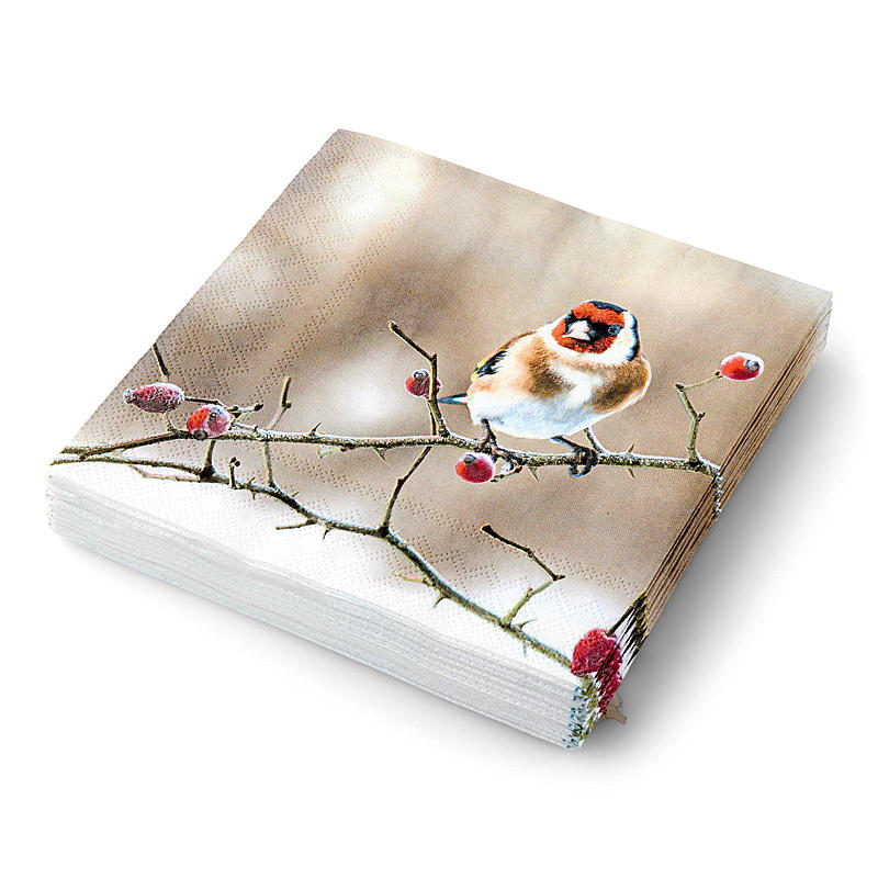 Vie Eco Servietter 20-pakning 33x33 cm, Vinter
