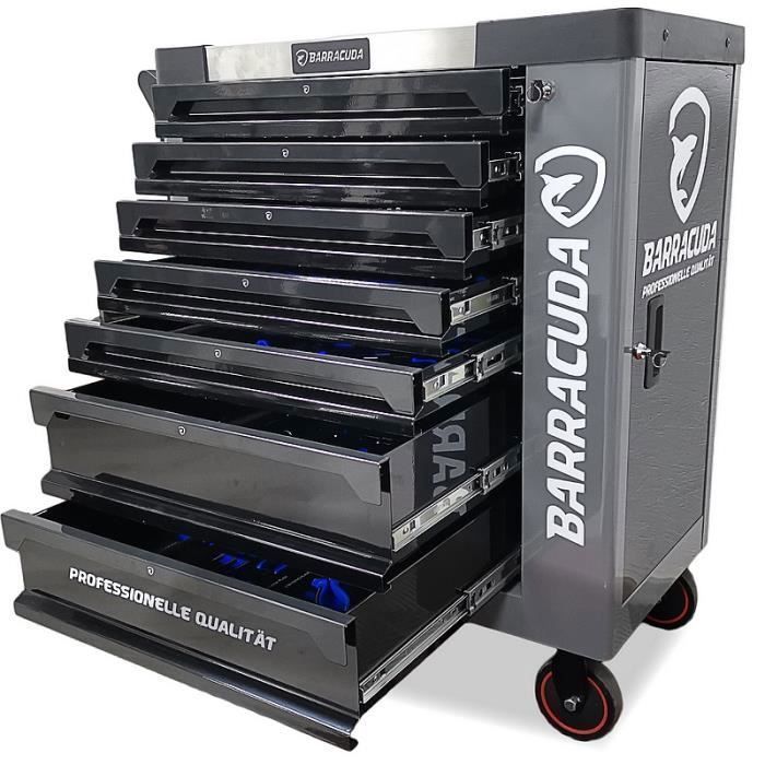 Carro de taller BARRACUDA TOOLS de 7 cajones con 7 herramientas Nardo XXL