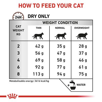 Royal Canin Veterinary Cat - Kulki włosowe w przewodzie pokarmowym
