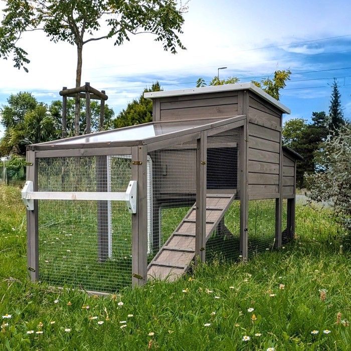 Poulailler mobile Sunny toit shingle et polycarbonate jusqu'à 6 poules Gris