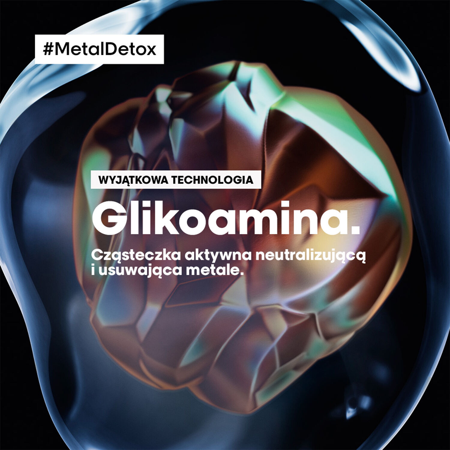 L'Oréal Professionnel Paris Metal Detox