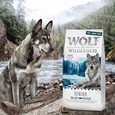 Wolf of Wilderness Senior „Blue River“ – Freilandhähnchen & Lachs
