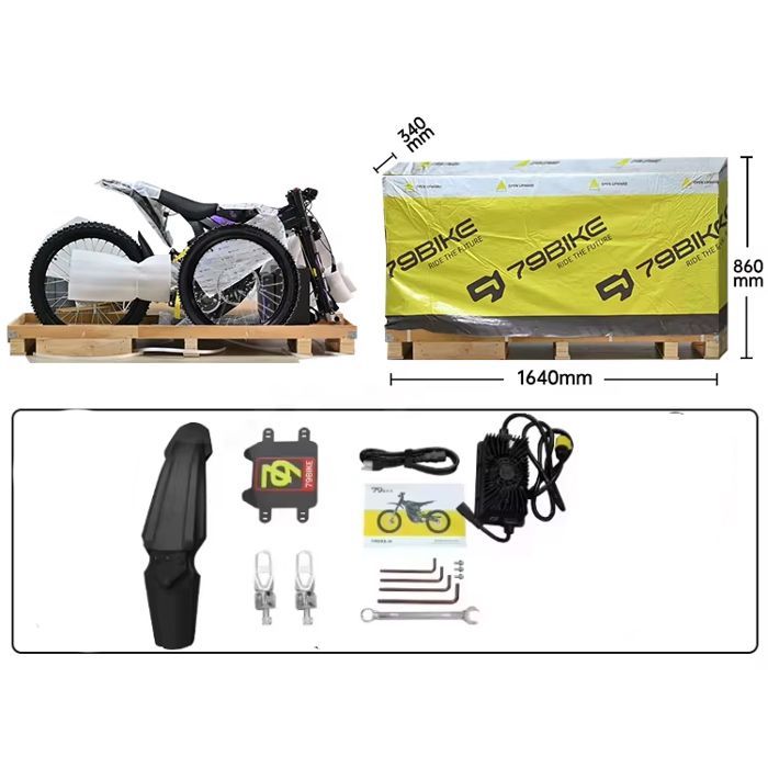 79Bike - FALCON PRO electric bike, 19