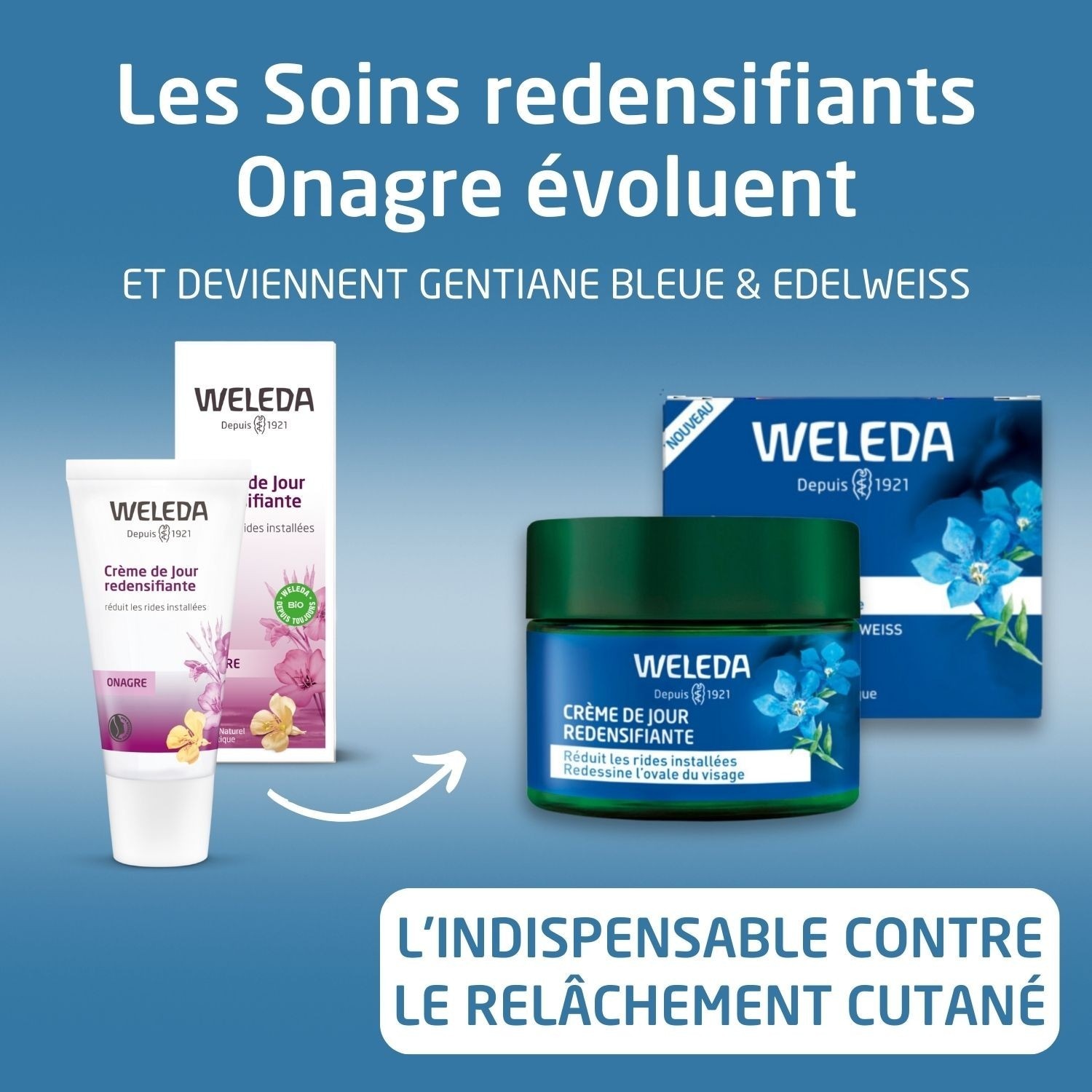 Weleda Crème de Jour redensifiante Gentiane Bleue et Edelweiss - 40 ml