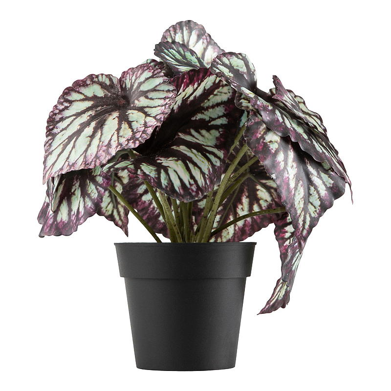 Begonia artificiale King 20 cm