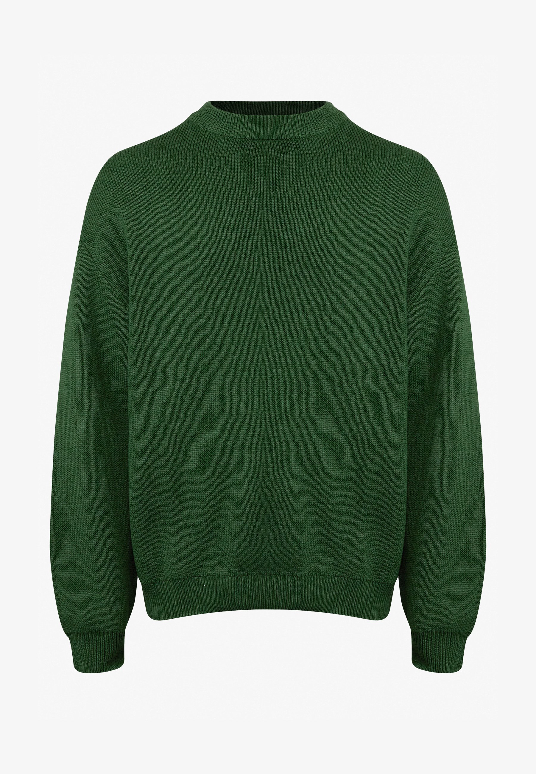 Rebel redéfini BASTIAN - Jumper - des pâturages plus verts
