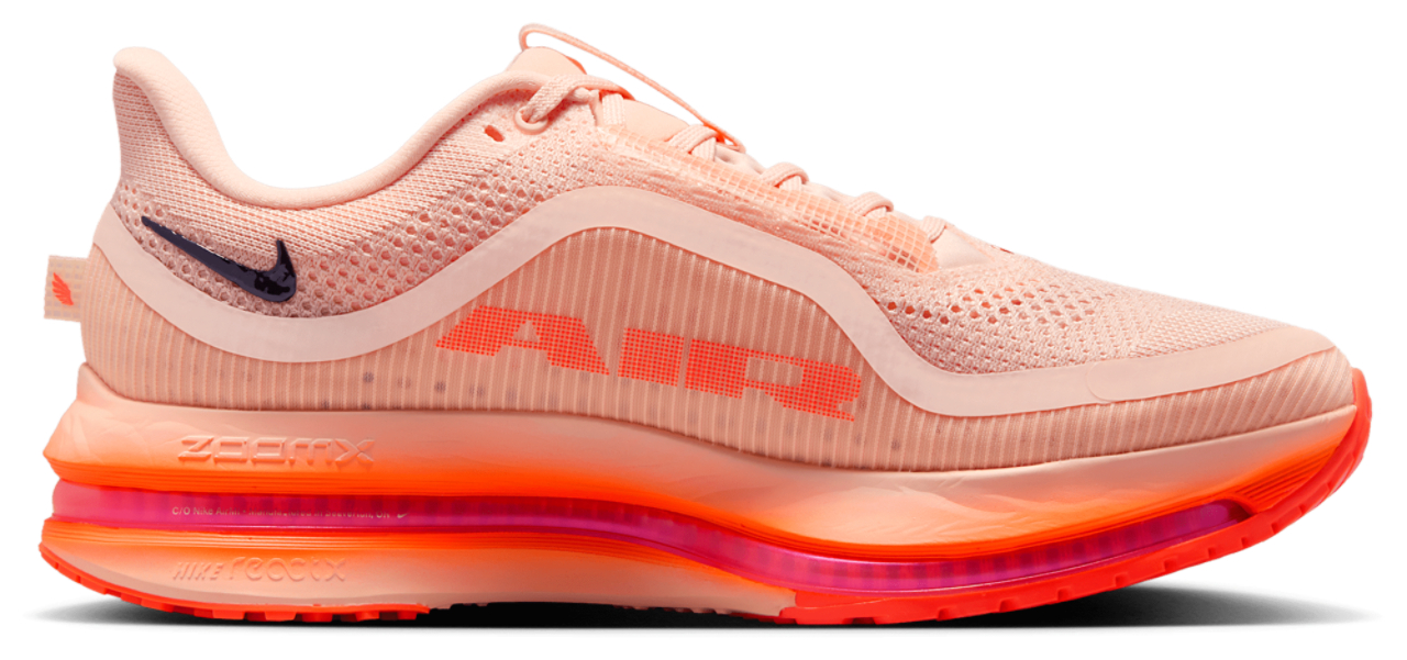 Nike Pegasus Premium