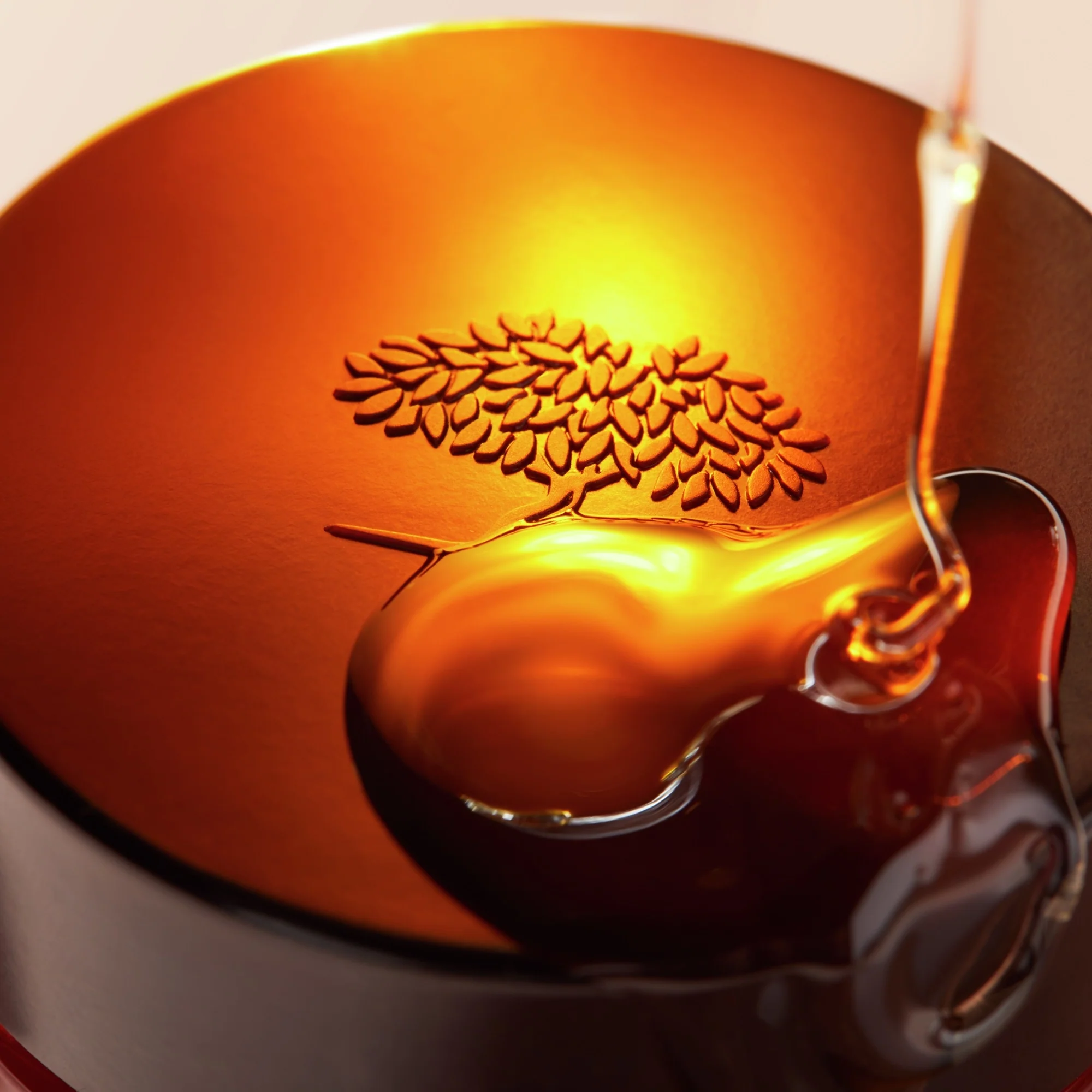 Reve de Miel Balsamo labbra ultra-nutriente e riparatore- Rêve - Balsamo Labbra