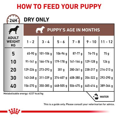 Royal Canin Veterinary Dog - Gastrointestinal Valp