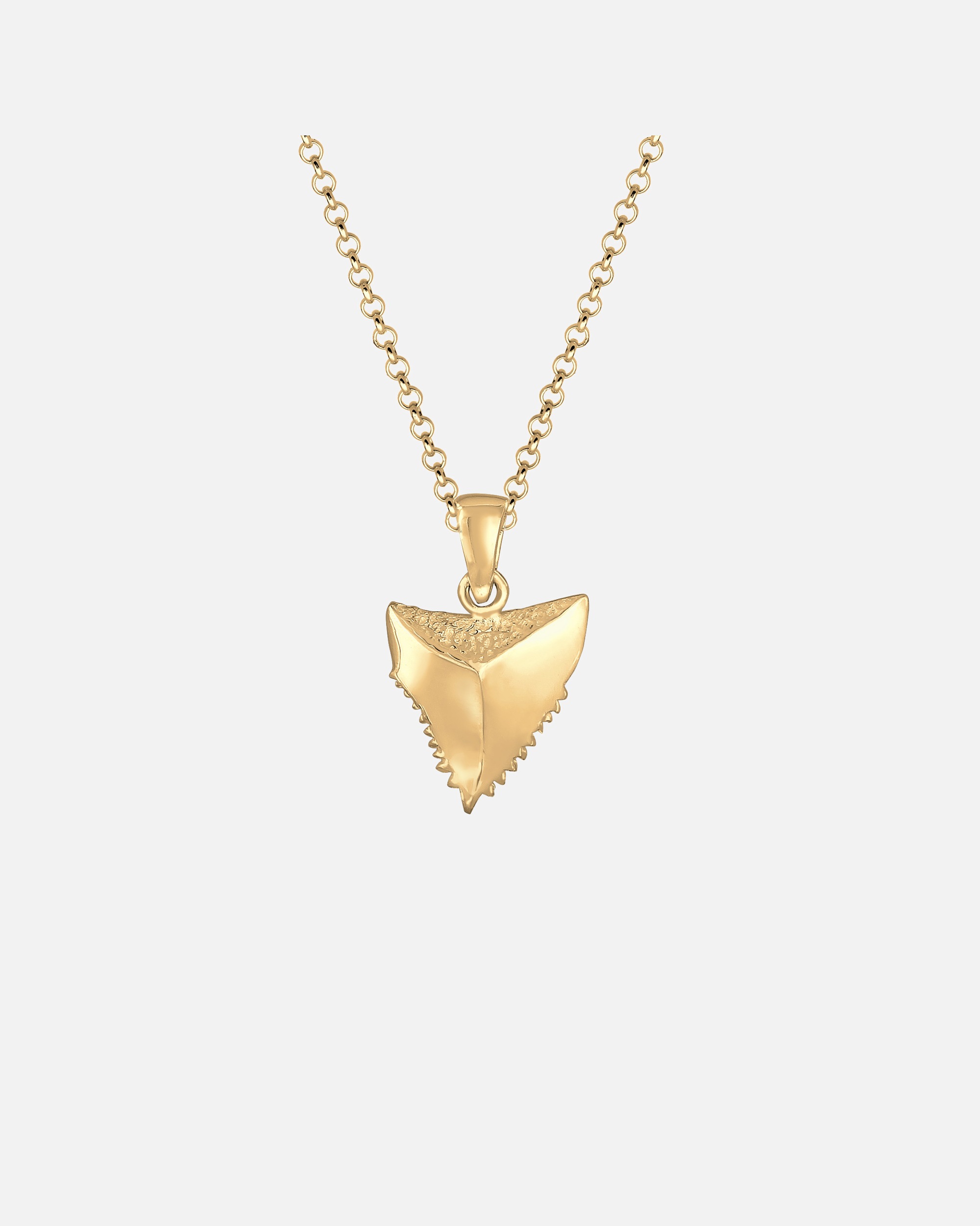 Elli Femmes pendentif dent dans la tendance Tusk en argent sterling 925 plaqué or