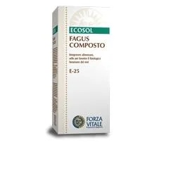 VITAL FORCE Fagus Composto Ecosol Tropfen 50 ml