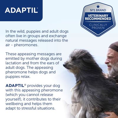 ADAPTIL® Calm -täyttöpakkaus