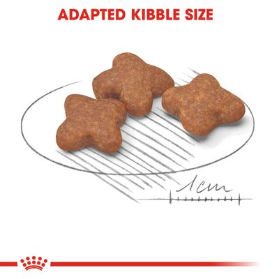 Royal Canin Mini Adult 8+ -koira