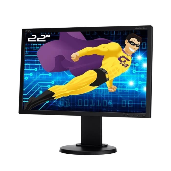 Ecran PC Pro 22