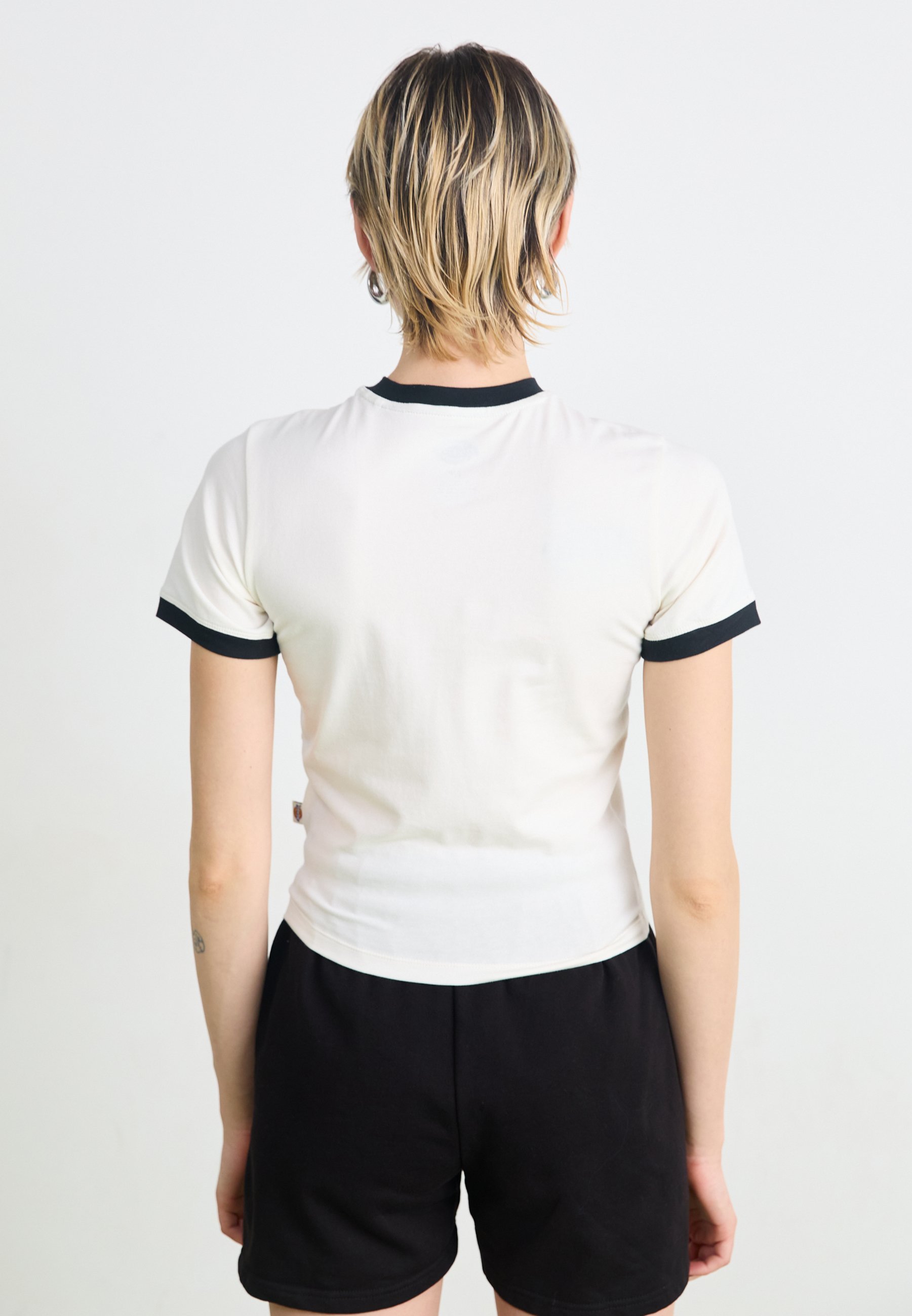 Dickies LEWISTOWN RINGER TEE - Bedrucktes T-Shirt - Reiher