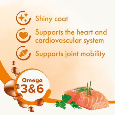 olio di salmone beaphar