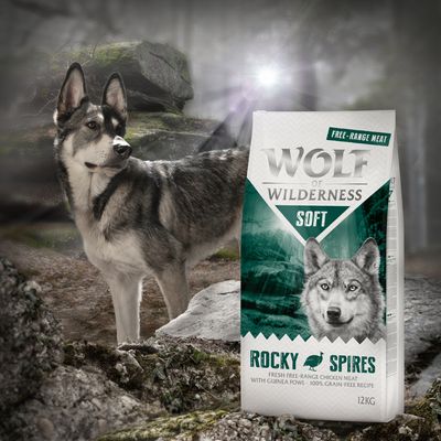 Wolf of Wilderness Soft „Rocky Spires” – kurczak z perliczką