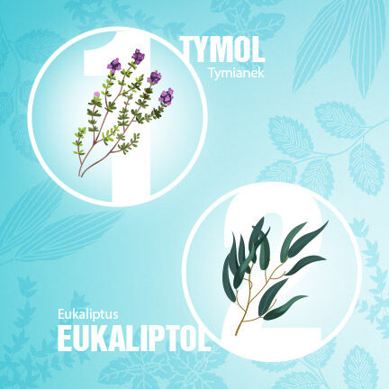 Στοματικό διάλυμα Listerine 500ml Δροσερή μέντα