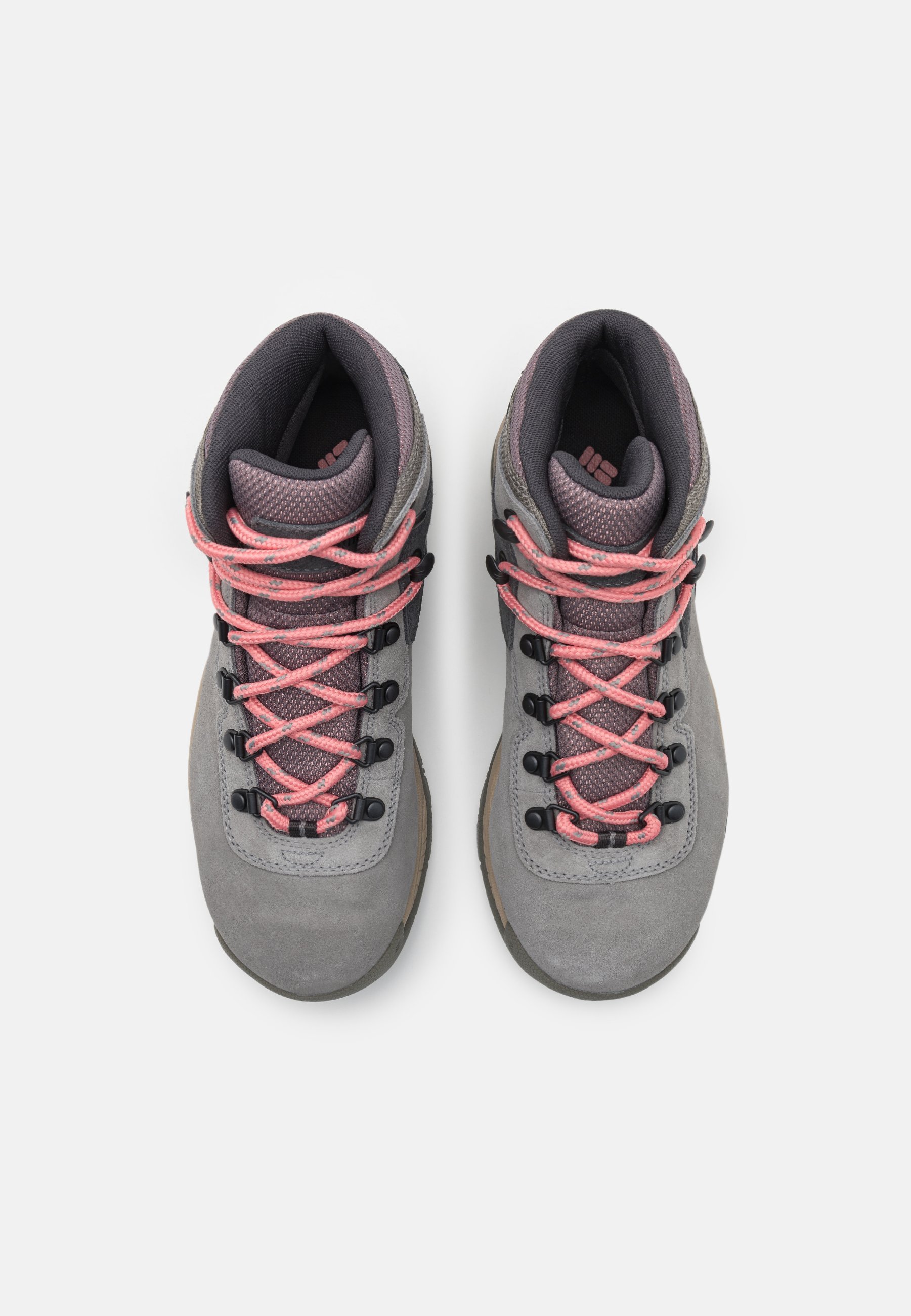 Columbia NEWTON RIDGE™ PLUS WATERPROOF AMPED - Fjellsko - stratus/canyon rose