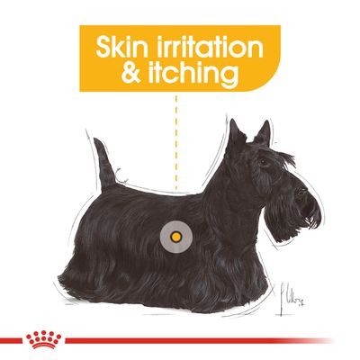 Padella Royal Canin Dermacomfort