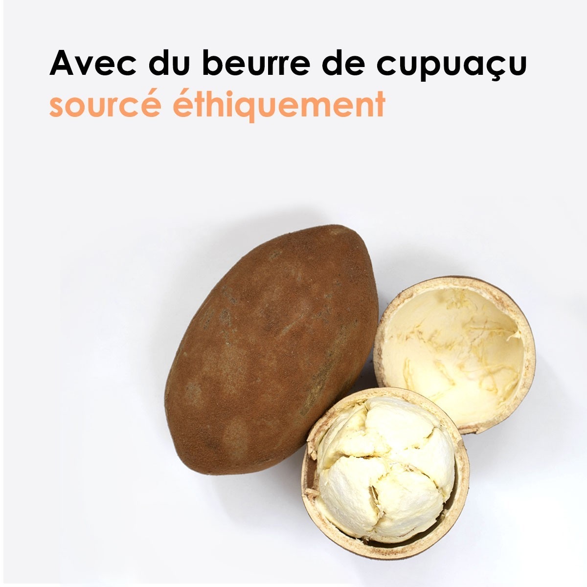 WEDO/ PROFESSIONAL Riche & Réparateur