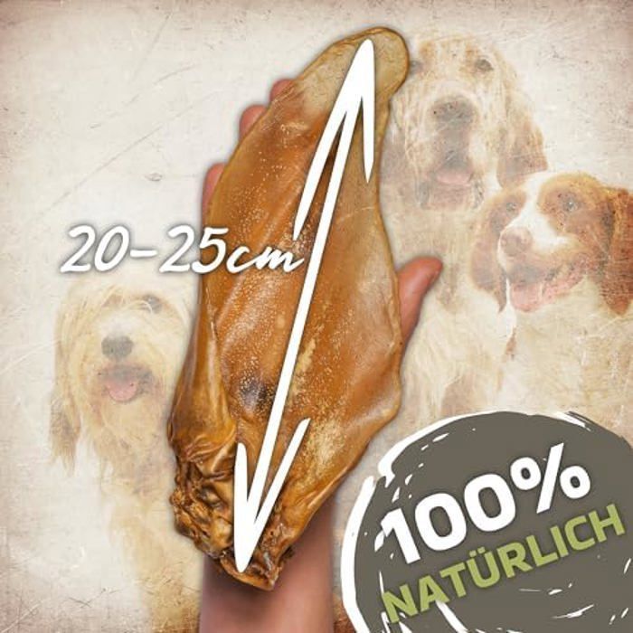 Lot de 10 oreilles de bœuf naturelles avec coquillage pour chien - Renforcement de la santé et de l'hygiène buccale de votre chien