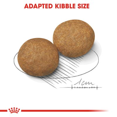 Royal Canin Adulte de taille moyenne