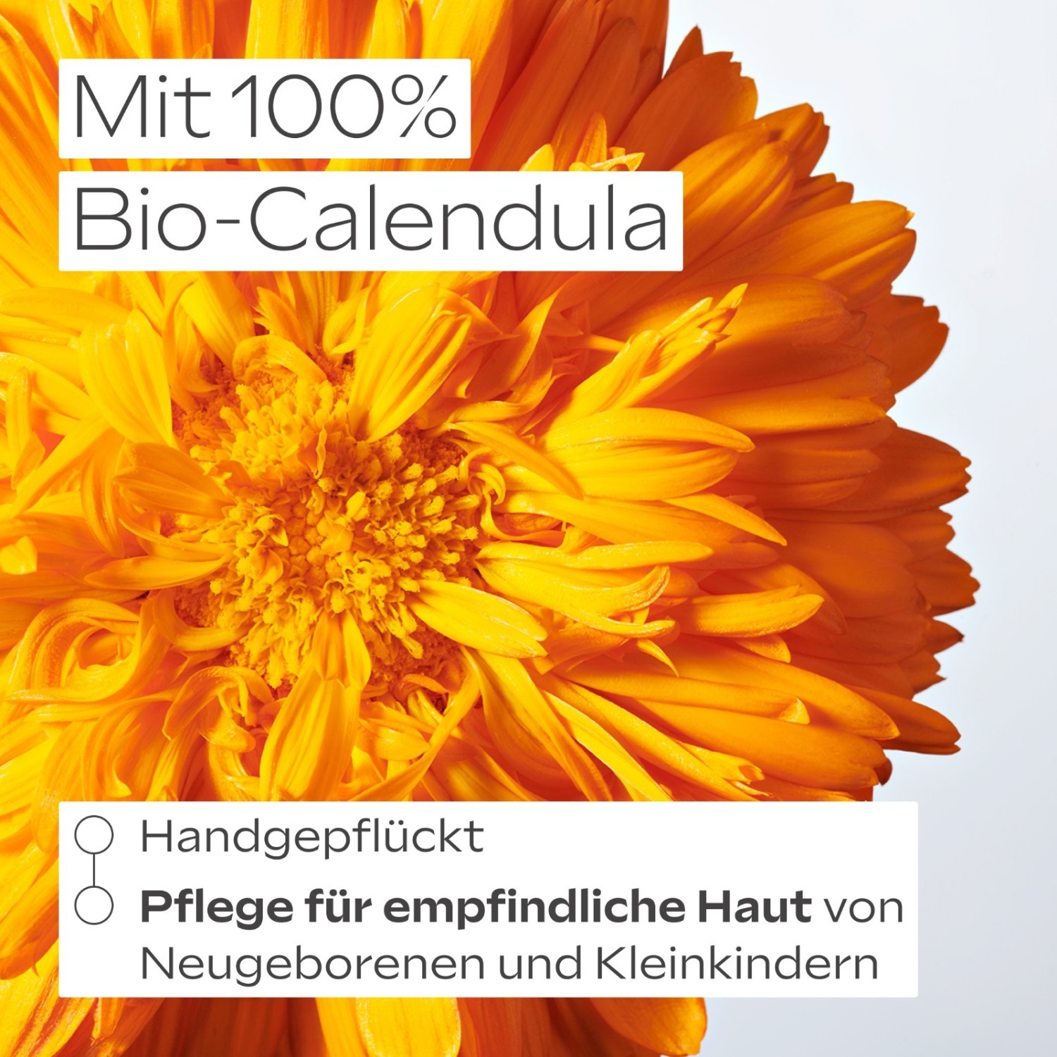 Weleda kūdikių kremas su medetkų ekstraktu apsaugai nuo vystyklų bėrimo – 30 ml
