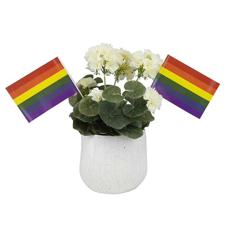 Giform Blomstav 6-pack, regnbåge