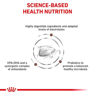 Royal Canin Veterinary Cat - Gastrointestinal