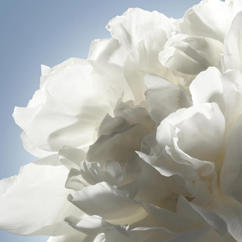 Cacharel Noa eau de toilette para mulheres