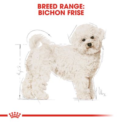 Royal Canin Bichon Frise Erwachsener