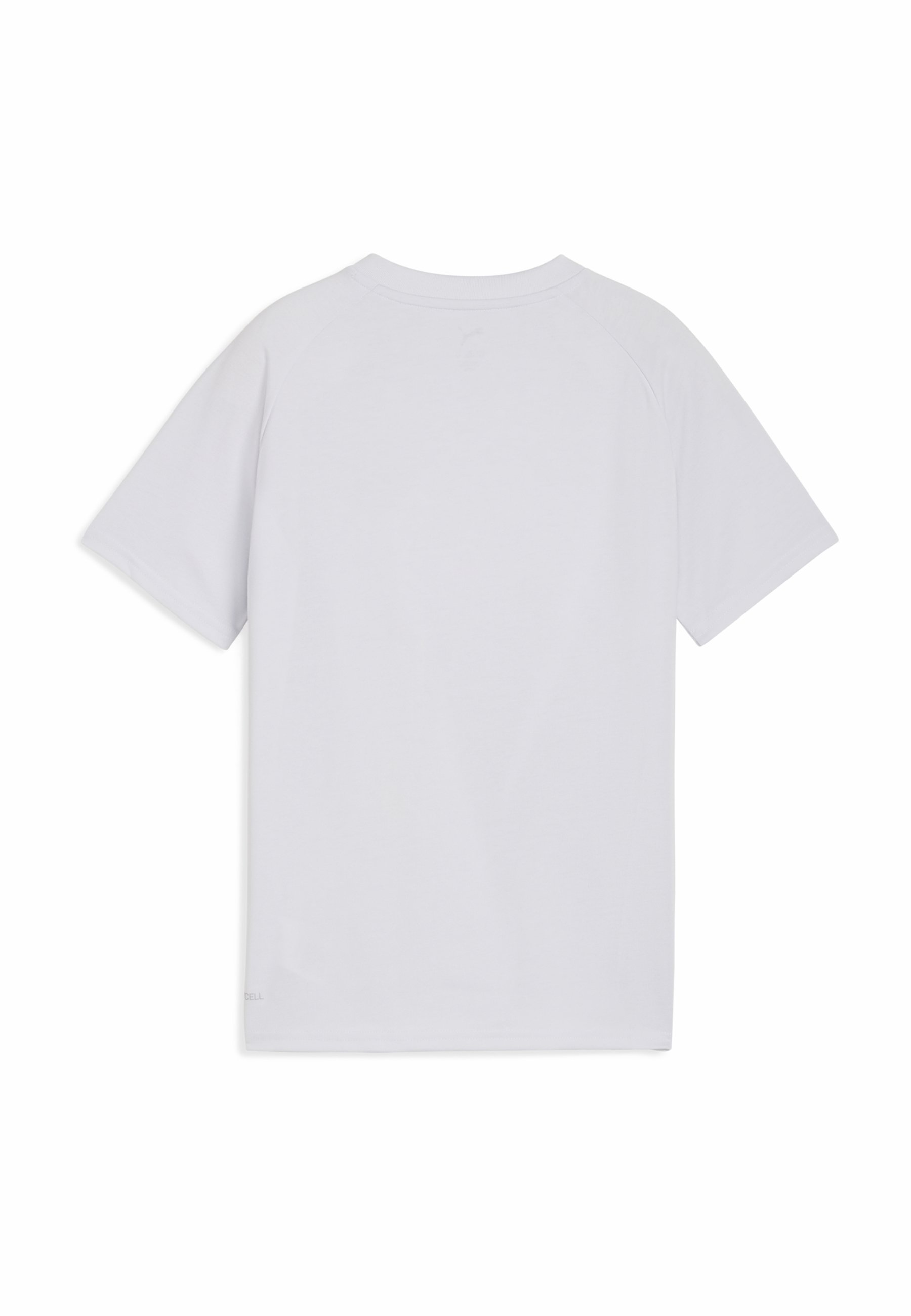Puma BORUSSIA DORTMUND - Clubkleding - Silver Mist Faster Yellow