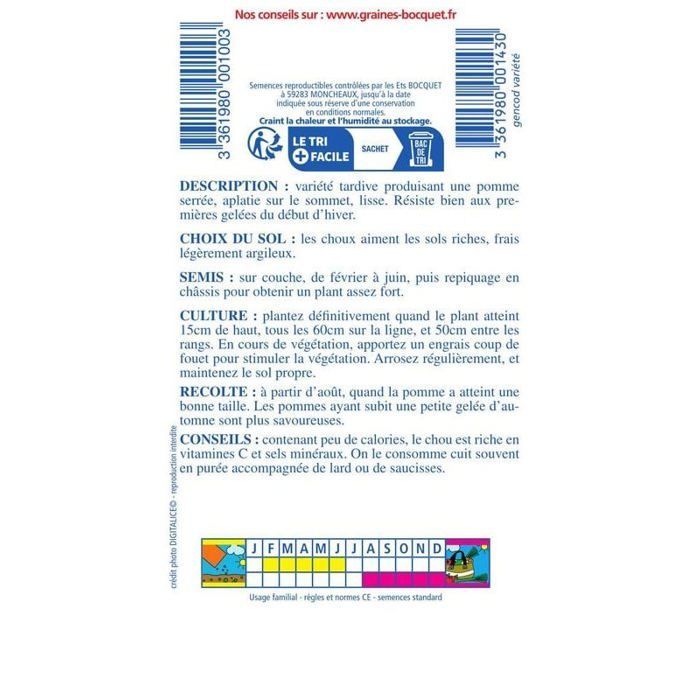 Graine - Semence - Chou de Milan gros des vertus-4