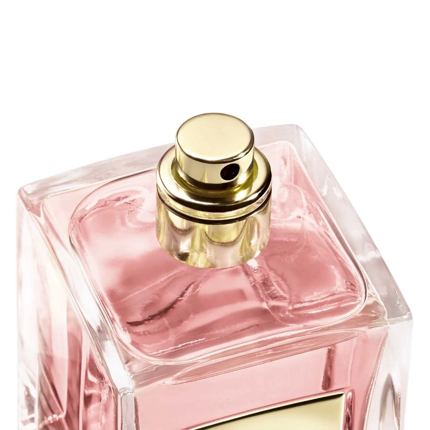Armani Rose Alexandrie