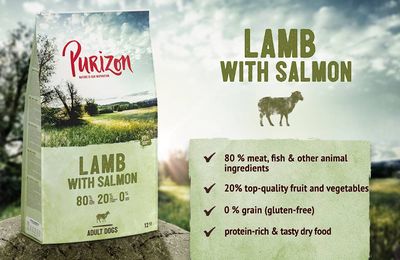 Purizon Lamb with Salmon Adult – bez obilovin