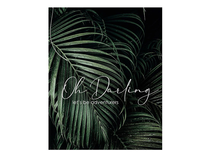 Plakat Palma Oh Darling 50x70 cm