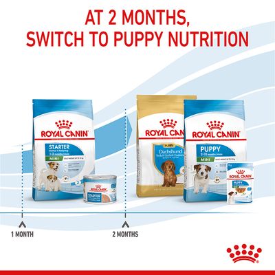 Royal Canin Mini Starter Madre y Cachorro