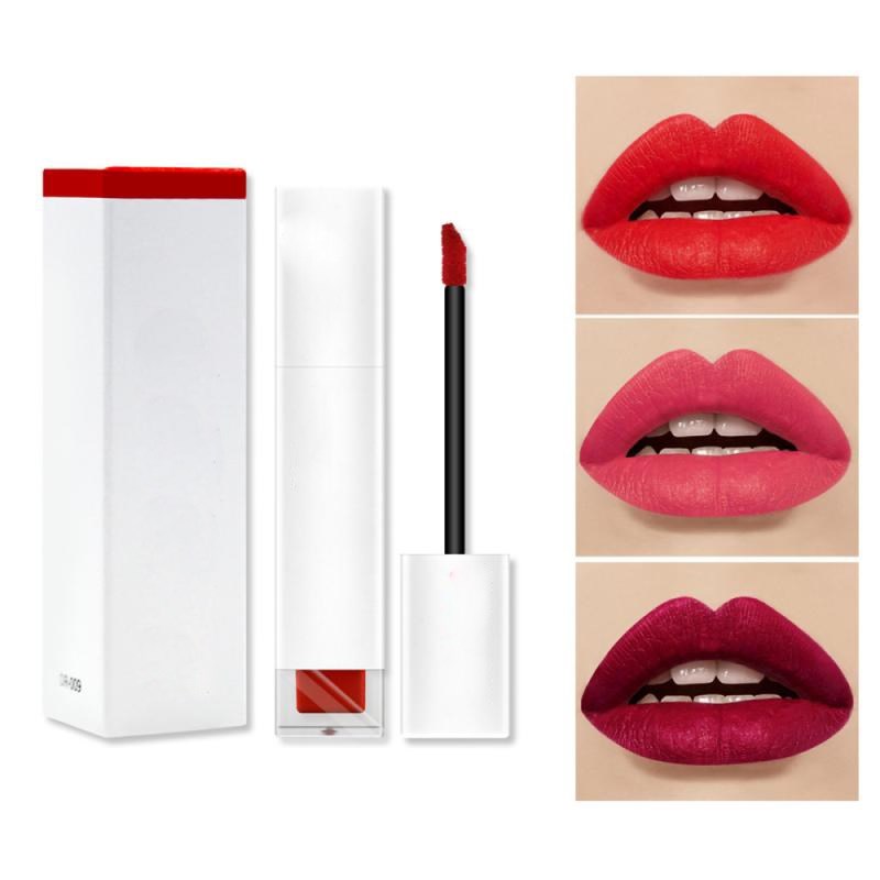 Rouge à lèvres mat velours, rouge à lèvres liquide léger, cosmétique non collant, brillant à lèvres, waterproof, longue tenue, maquillage TSLM1