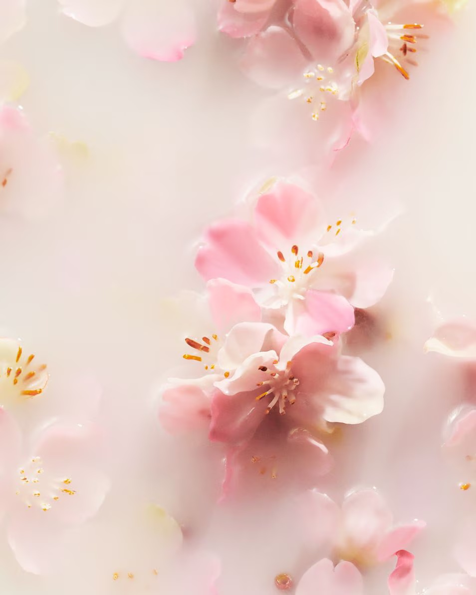 RITUALS Αφρός ντους The Ritual of Sakura 50ml