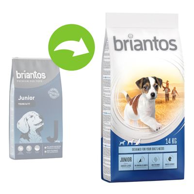 Briantos Junior
