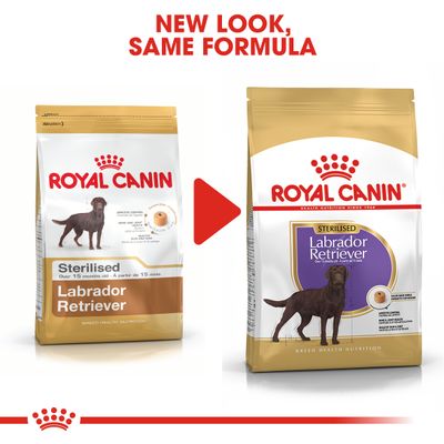 Royal Canin Labrador Retriever Adult Sterilized