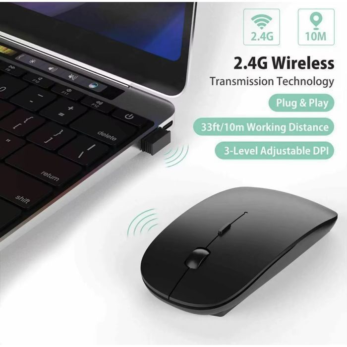 Souris Rechargeable Sans Fil Noir  Silencieuse, LED RGB, 2.4GHz, DPI Réglable, Ergonomique, pour PC/Mac/Ordinateur