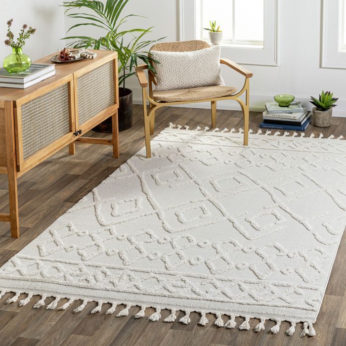 LIVABLISS Tapis de Salon à Poils Courts Doux Berbère Ethnique ELAINE 160x213cm Ivoire